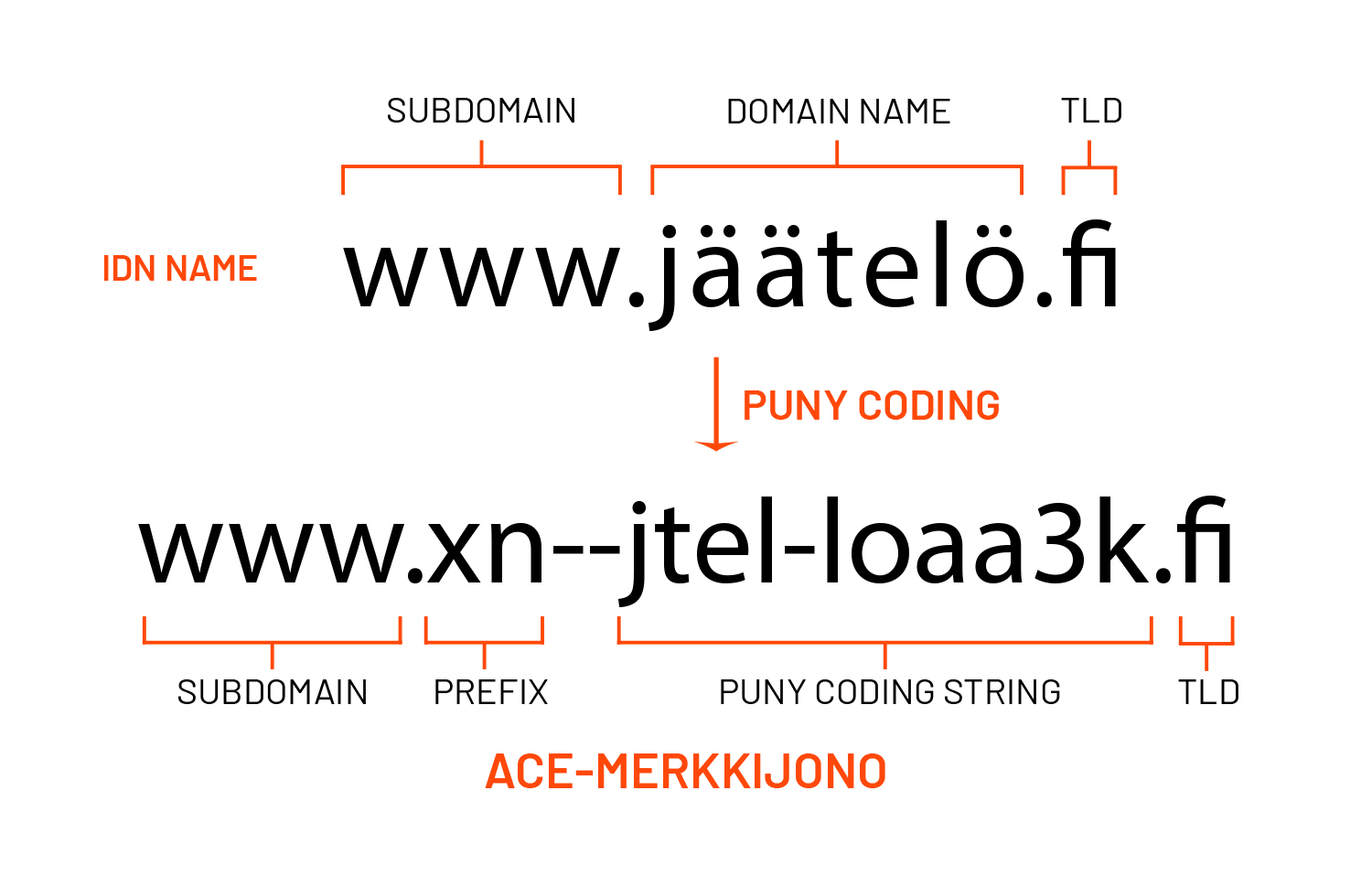 IDN tulee sanoista Internationalized Domain Name ja IDN:t ovat toimialueen nimiä, jotka sisältävät merkkejä muista non-ASCII (American Standard Code for Information Interchange) merkistöistä. Esimerkiksi Suomessa on myös mahdollista tilata IDN-verkkotunnus (suomen kielessä käytetyt ä, å, ö, ü ja kyrilliset aakkoset), missä merkit ovat non-ASCII-merkkejä. Sama koskee ruotsin å, romania ș, kreikkalaisia ​​ja kyrillisiä aakkosia.